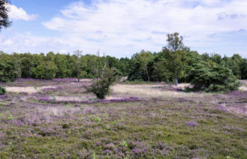 Lopen door prachtige natuur